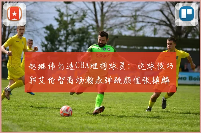 赵继伟打造CBA理想球员：运球技巧郭艾伦智商杨瀚森弹跳颜值张镇麟完美结合